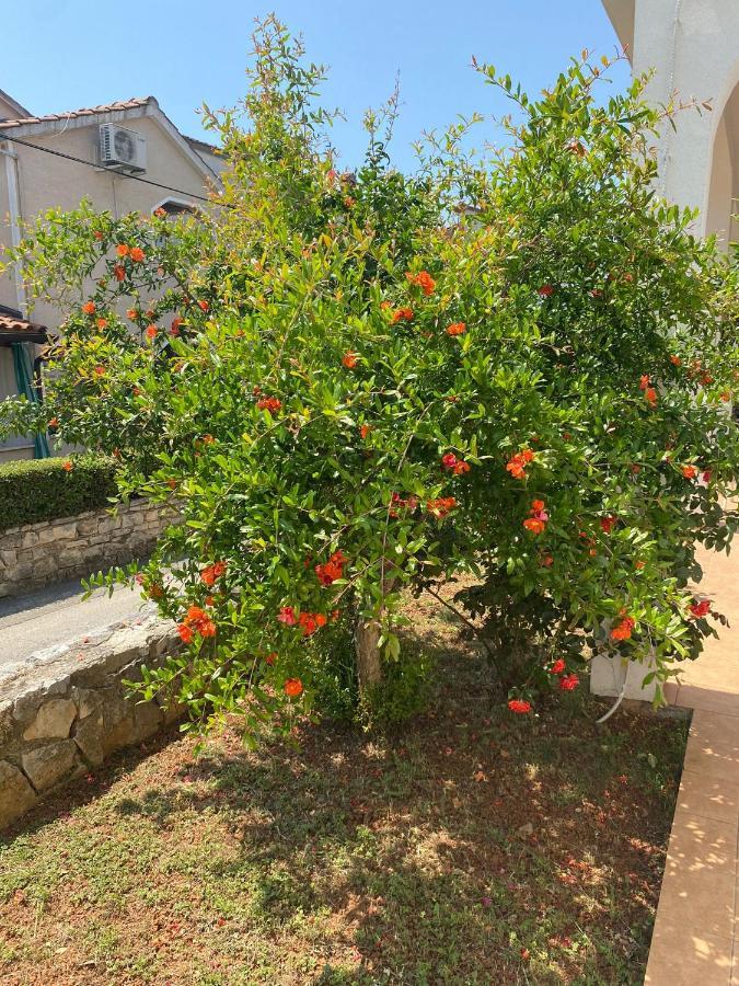 Apartmani Ana Borovac فونتانا المظهر الخارجي الصورة